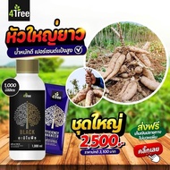 โฟร์ทรี 4Tree + อะมิโนแบล็ค Amino Black สูตรระเบิดหัวมัน ใหญ่ ยาว ดก เร่งราก เพิ่มน้ำหนัก สร้างแป
