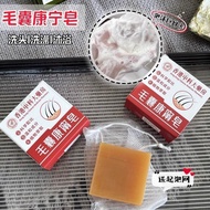 Hong Kong China University of Science and Technology Hair Follicle Corning Soap Herbal Plant Extract