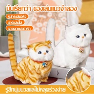 Real Cat With Hair Little Love Doll Chain Decoration