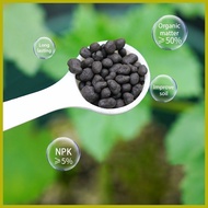 ☌ ◶ ▣ bougainvillea fertilizer 500g fertilizer for bougainvillea