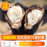 Fruit Guoxin Duriflon Lake Old Water Chestnut Powder Glutinous Sweet Hong Lake Water Chestnut 0.5kg/