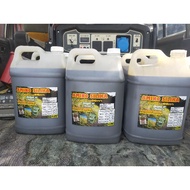 Amino silika baja subur 10liter / foliar untuk kesuburan tanaman padi, sayuran berbuah, sayuran berd