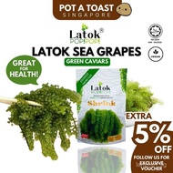 Latok Pop Pop Sea Grape Green Caviar with Green Sauce 100g HALAL