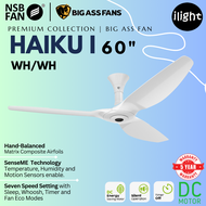 NSB FAN X BIG ASS FAN | Haiku I 60 Inches 3 Matrix Glass Composite Blade DC Motor 7 Speed Remote Con