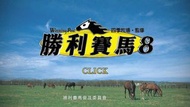 Winning Post 8 / 賽馬大亨 8 (PC 獨立數位版) - 繁中  - (Win 11/10/7 可玩)