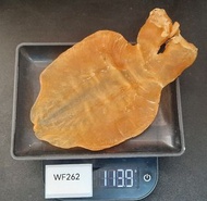 鰵魚膠 （陽光赤嘴)