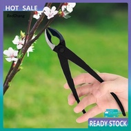 RC~  【 Perfect Branch Removal】 Perfectly prunes 5/16"-1/2" (8-13mm) branches - both living and dead 