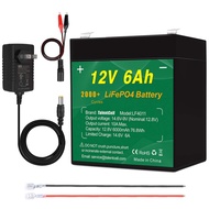 12V 6Ah LiFePO4 Battery Pack LF4011, 2000 Cycles Rechargeable 12.8V 76.8Wh Lithium Iron Phosphate Ba