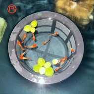 GREAT Fish Fry Cage, Reusable Large Capacity Aquarium Filters,  Floating Fish Fry Isolation Box For 