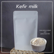 Milk kefir grain 10g raised with fresh pasteurized milk | เกรนคีเฟอร์นม 10g เลี้ยงด้วยนมฟาสเจอร์ไรส์