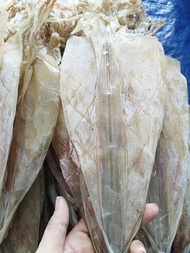 KHÔ MỰC THƯỚC SIZE TO (TỪ 8 - 10 CON/1KG) LÀM QUÀ BIẾU CAO CẤP PHÂN LOẠI 1KG/ 500GRAM/ 1 CON KHÔ MỰC