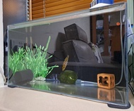White glass fish tank (only bare glass tank, excluding glass lid, other tank decorations or LED ligh