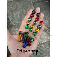 Nmax, aerox, lexi M5X25 VISOR BOLT, L-KEY SPOT MODEL, PRICE PER UNIT AND 1 SET OF 4 PCS WINSIELD THA