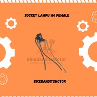 H4 Female Socket + Universal Cable