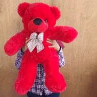 80cm Plush Teddy Bear Ready Stock