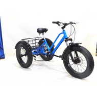 Adult tricycle/three wheel bicycle