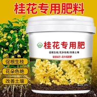 Nongmiaofu Osmanthus Special Fertilizer for Promoting Root Growth Organic Fertilizer Improving Soil Compaction without B