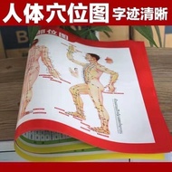 Acupuncture Points HD Standard Chinese Medicine Whole Body Acupuncture Wall Chart Household Moxibust