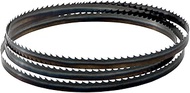 Metabo Bandsaw blade Index 1712 x 12 x 0.36 A6 (0909057183) Dimensions: 1712 x 12 x 0.36 mm, Tooth p