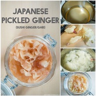 🇲🇾Homemade Century Egg / Japanese Sushi Pickled Ginger / Gari  皮蛋腌姜 / 日本寿司腌姜