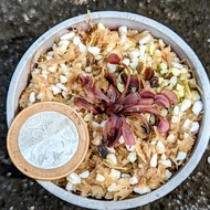 Venus Flytrap ROYAL RED