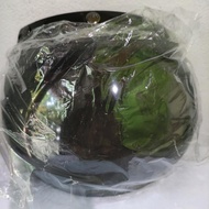 LOKAL Choice - Local Adult Helmet Visor (Bogo) Motorcycle