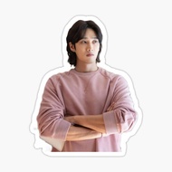 Stickers Waterproof Car Magnets Refrigerator Ahn Bo-hyun