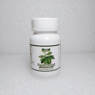 Sambong Capsule Herbal Food Supplement All Natural Organic Extract from Plant Antioxidant Safe Preve
