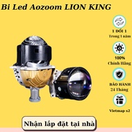 [NEW PRODUCT] Aozoom Lion King Led Ball