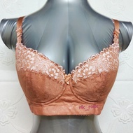 38D/85D OSTMEI PLUS SIZE BRA - WIRED 5 HOOKS