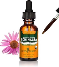 Herb Pharm Certified Organic Echinacea Root Liquid Extract for Immune System Support, Alcohol-Free G
