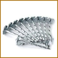 Umbrella Nail / Roofing Nail / Pakong Yero / Pako Bubong / Roof Nail (per kilo)