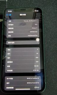 iPhone 11 128gb 綠色