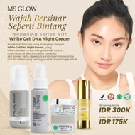 Paket usaha ms glow gold