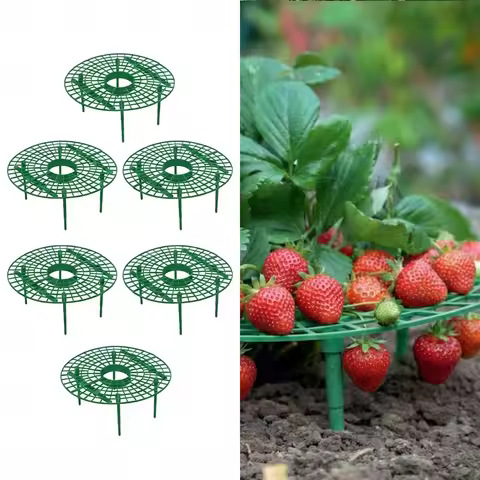 6Pcs Strawberry Plant Support Large Size Strawberry Growing Racks Strawberry Growing Frame for Keepi