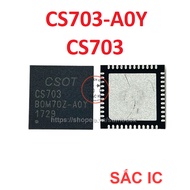 [C49] CS703-A0Y CS703 703 power ic on board - Original NEW