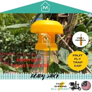 [EFFECTIVE] Fruit Fly Trap Pheromone Yellow Attractant Cover / Penutup Botol Perangkap Lalat Buah Fe