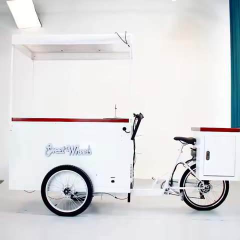 Solar Panel Street Mobile Coffee Bubble Tea Kiosk New Design Cargo Bike Ice Cream Bike Bike 3 Wheel 