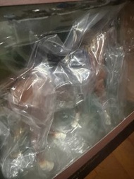 Figma馬ver2 (栗毛）