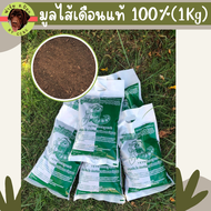 มูลไส้เดือน100% ไม่ผสม 1กก. เนื้อละเอียด ใช้กับต้นไม้ได้ทุกชนิด ผสมปลูกแคนตัสได้ ราคาสุดคุ้ม