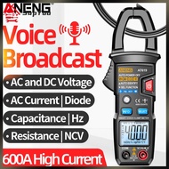 【จัดส่งในประเทศ】ANENG มัลติมิเตอร์แบบหนีบดิจิตอล AT619 Ac/dcเครื่องวัดที่ยึดอเนกประสงค์ออกอากาศ4000น