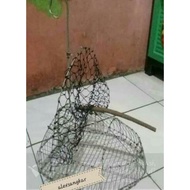 Bird cage trap lure trap..