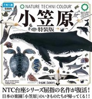 𓅓MOCHO𓅓 7月預購 IKIMON 扭蛋 NTC圖鑑-小笠原特裝版 全6種