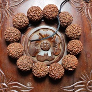 Jenitri Rudraksha Genitri Jumbo