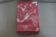 萬代 MG SHENLONG GUNDAM EW LIAO YA 神龍鋼彈EW 獠牙裝備 W鋼彈 張五飛 PB限定