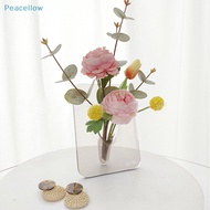 Peacellow Modern Rectangle Flower Vase Ins Clear Acrylic Photo Frame Vase Living Room Office Vase Flower Holder Desktop Home Decoration SG