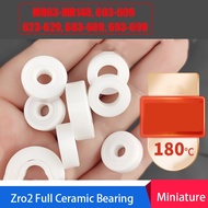 Miniature Zirconia Full Ceramic Bearing Corrosion Resistant Bearings MR63-MR148, 603-609,623-629,683