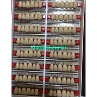 Gigi palsu Caiyu Yuying Anterior Upperr (Depan Atas ) paket 1box isi 16papan
