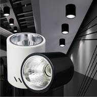 E27 Square / Round Ceiling Surface Downlight Casing 4”/6”/8” LED Concrete & Ceiling Surface / Tin Mi