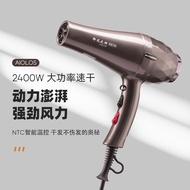 Hair Dryer Dedicated for Hair Dryer High-Power Hair Salon Household Hair Dryer Hair Dryer